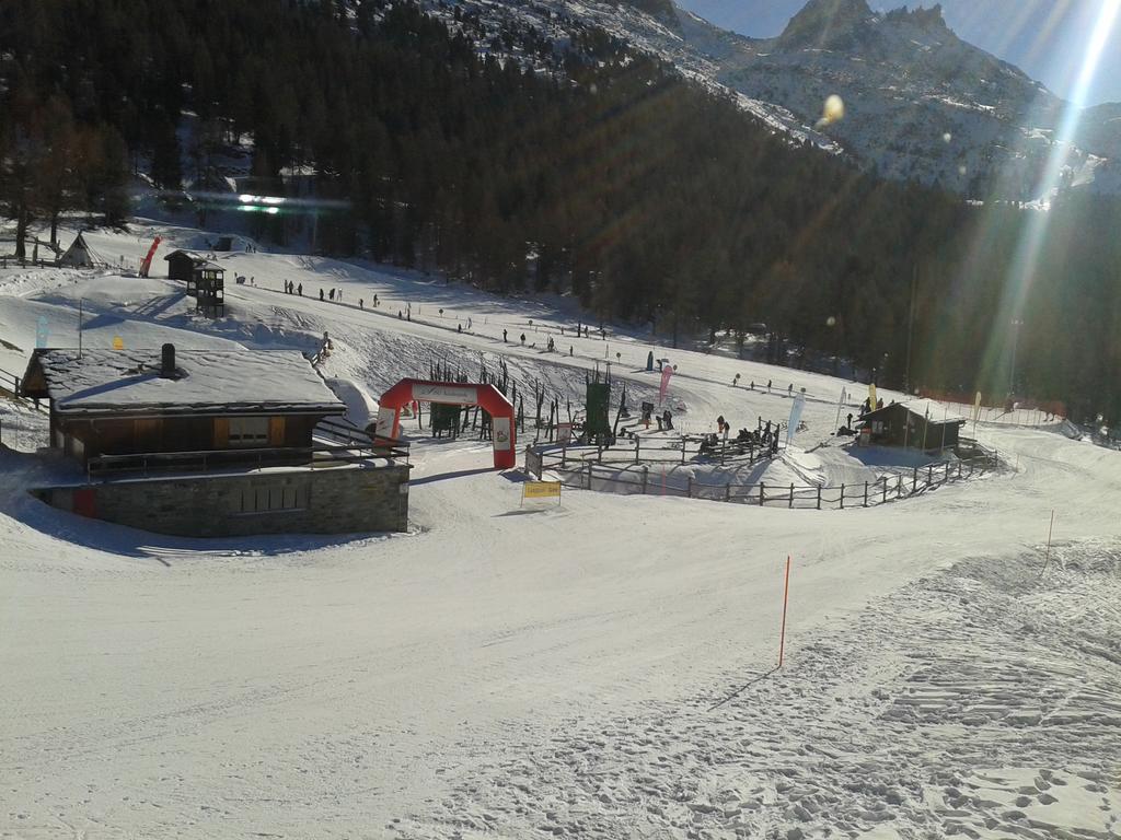 Chalet Schneevogul Grächen Exteriör bild